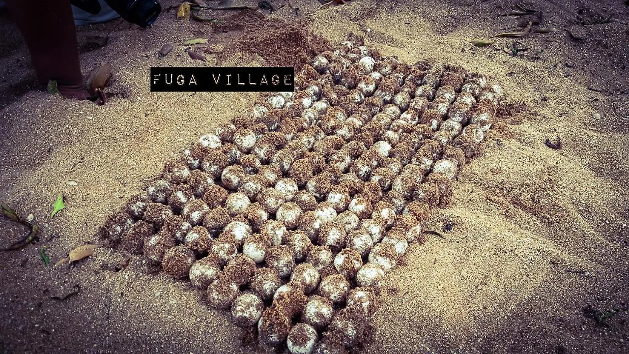 Fuga Village Kampong Tanjong Bedara